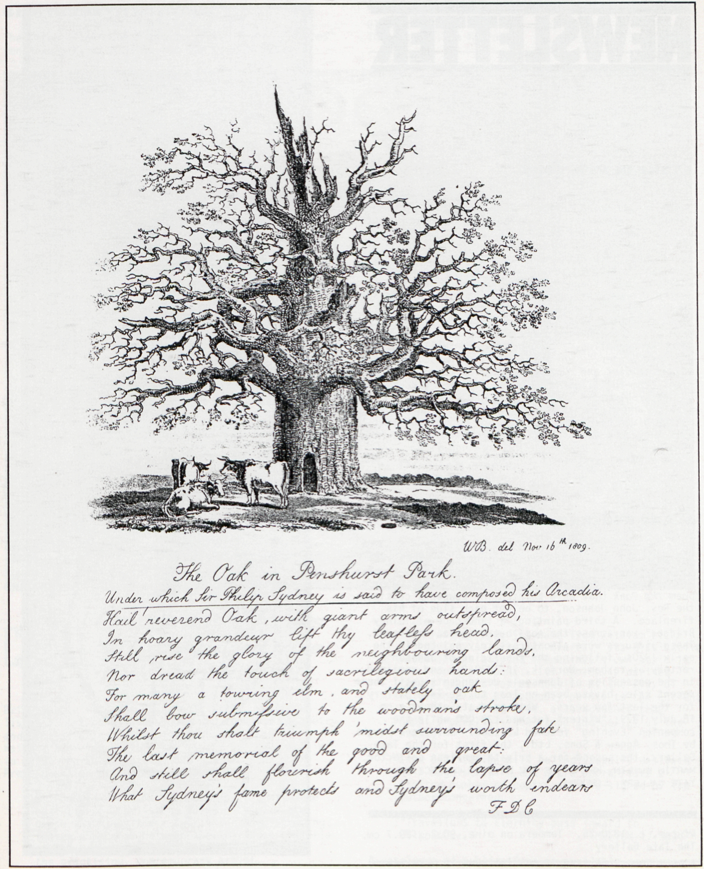 WB. del Nov 16.th 1809.
			
			The Oak in Penshurst Park.
			
			Under which Sir Philip Sydney is said to have composed his Arcadia.
			
			Hail! reverend Oak, with giant arms outspread,
			In hoary grandeur lift thy leafless head,
			Still rise the glory of the neighbouring lands,
			Nor dread the touch of sacrilegious hands:
			For many a towring elm, and stately oak
			Shall bow submissive to the woodman’s stroke,
			Whilst thou shalt triumph ’midst surrounding fate
			The last memorial of the good and great:
			And still shall flourish through the lapse of years
			What Sydney’s fame protects and Sydney’s worth endears
			
			F D C
