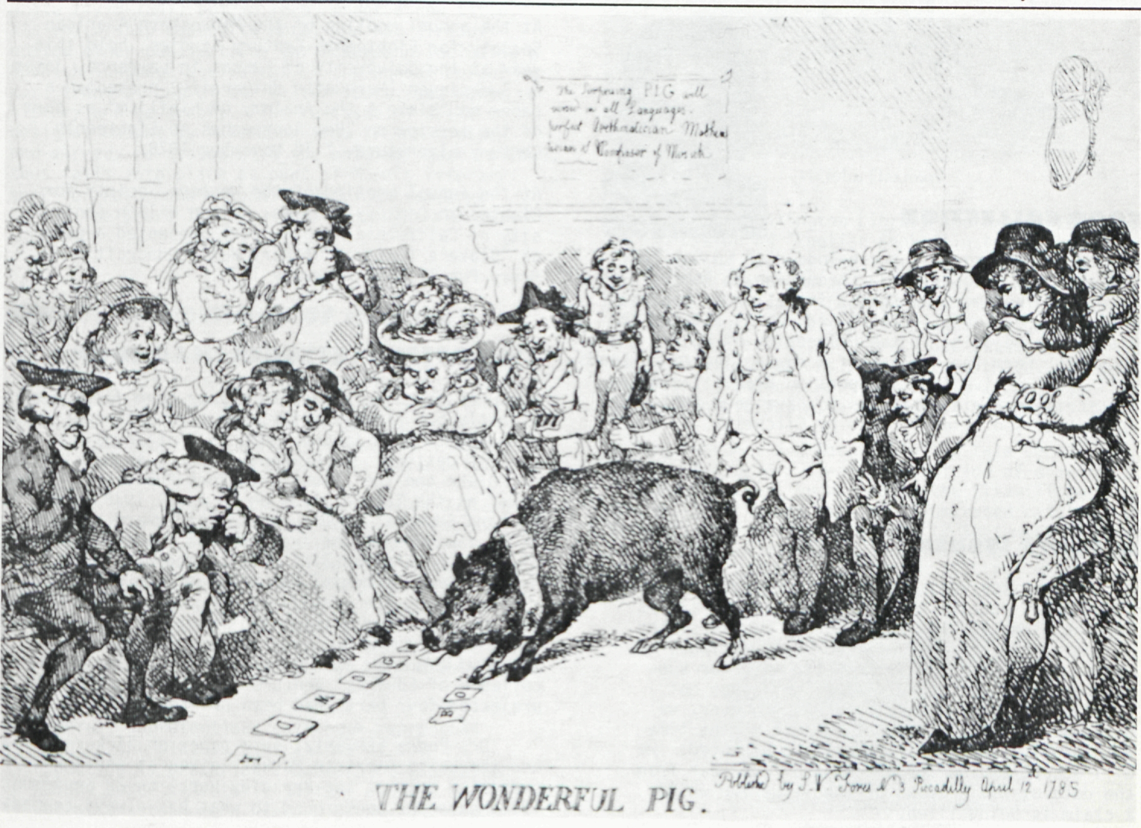 The Surprising PIG well
	versed in all Languages,
	perfect Arethmatician Mathematician
	& Composer of Musick
	
	G O W D E
	
	B O
	
	THE WONDERFUL PIG.
	
	Publish’d by S.V. Jones No. 3 Piccadilly April 12 1785