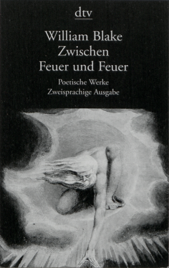 dtv William Blake Zwischen Feuer und Feuer Poetische Werke Zweisprachige Ausgabe